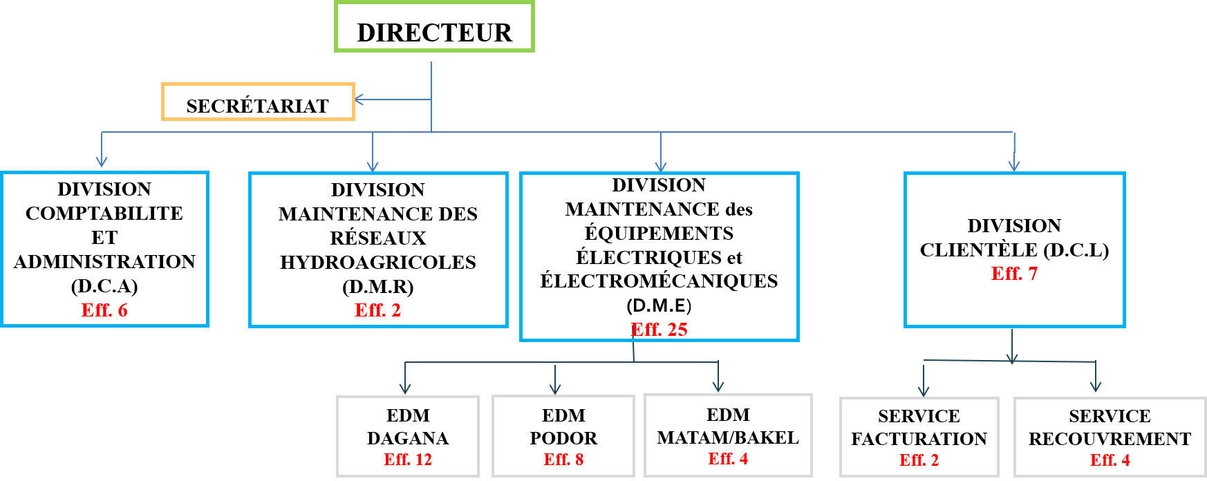 organigramme dam
