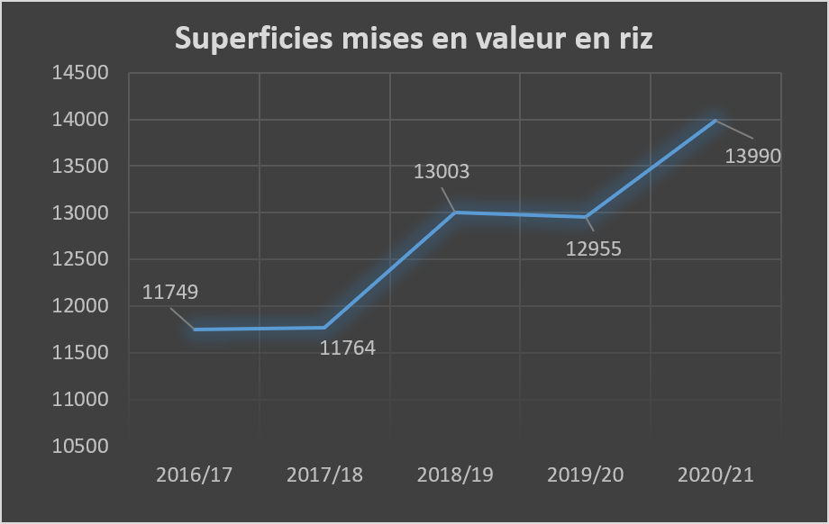 riz